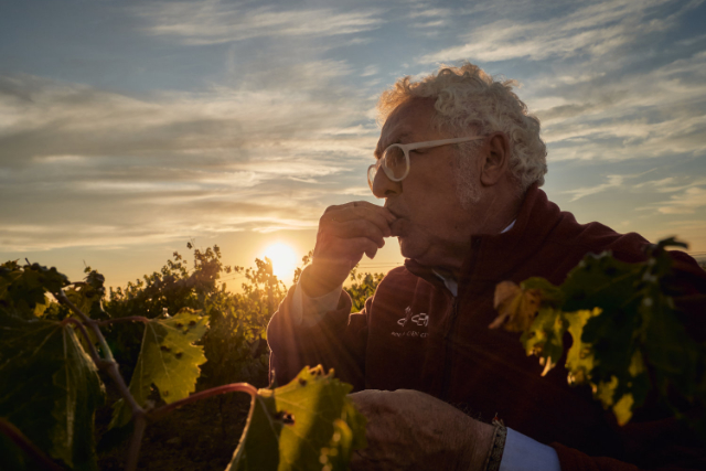 Imagen del vino – Jesús Castrillo